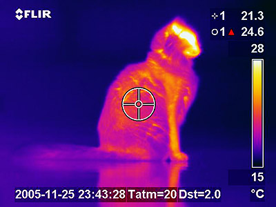 thermal imaging